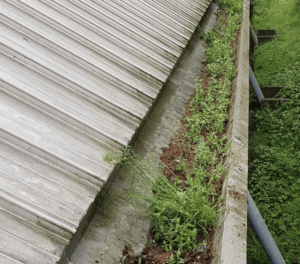 Happy customers in Kempston who trust The Roof Moss Cleaners for gutter cleaning services